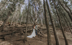 Stylized Shoot Featured in: Wedding Chicks
Planning: Signature Weddings
Photo: Rocky Mountain Photo Co.
Film: Twisted Film Works
Florals: Alpine Blooms
Hair & Makeup: Beautymark Makeovers
Jewellery: Joanna Bisley Designs
Mobile Bar: The Prosecco Cart
Invitations: Pink Umbrella Invites
Cake: Lucie Cakery
Rentals: Mountain Event Rentals
Ring: Luxura Diamonds
Ring Box: The Mrs Box
Benches + Arch + Barrels: JM Wilkinson Rentals
Dress: Pearl & Dot
Venue: Cochrane RancheHouse